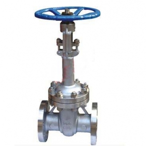 低温闸阀DZ41W(Y)-16/25/40/64P/R/RL