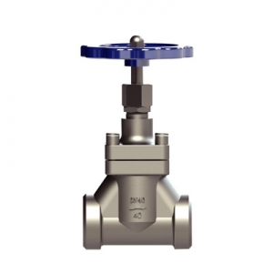 CRYOGENIC GLOBE VALVE DJ-G/GY