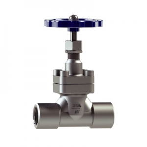 CRYOGENIC GLOBE VALVE DJ-NPT