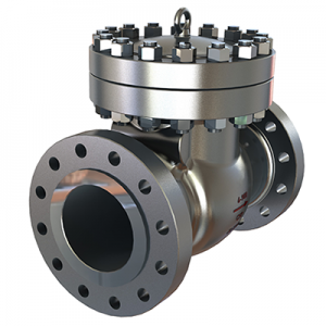 CRYOGENIC CHECK VALVE