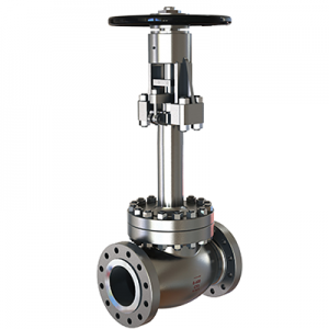 CRYOGENICE GLOBE VALVE
