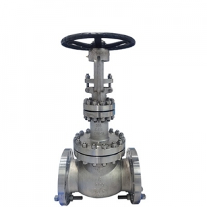 BELLOW SEAL GLOBE VALVE