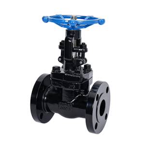 FORGED STEEL GLOBE VALVE