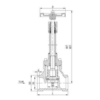 CRYOGENIC GLOBE VALVE(WITH CHECK VALVE) DJ-H2